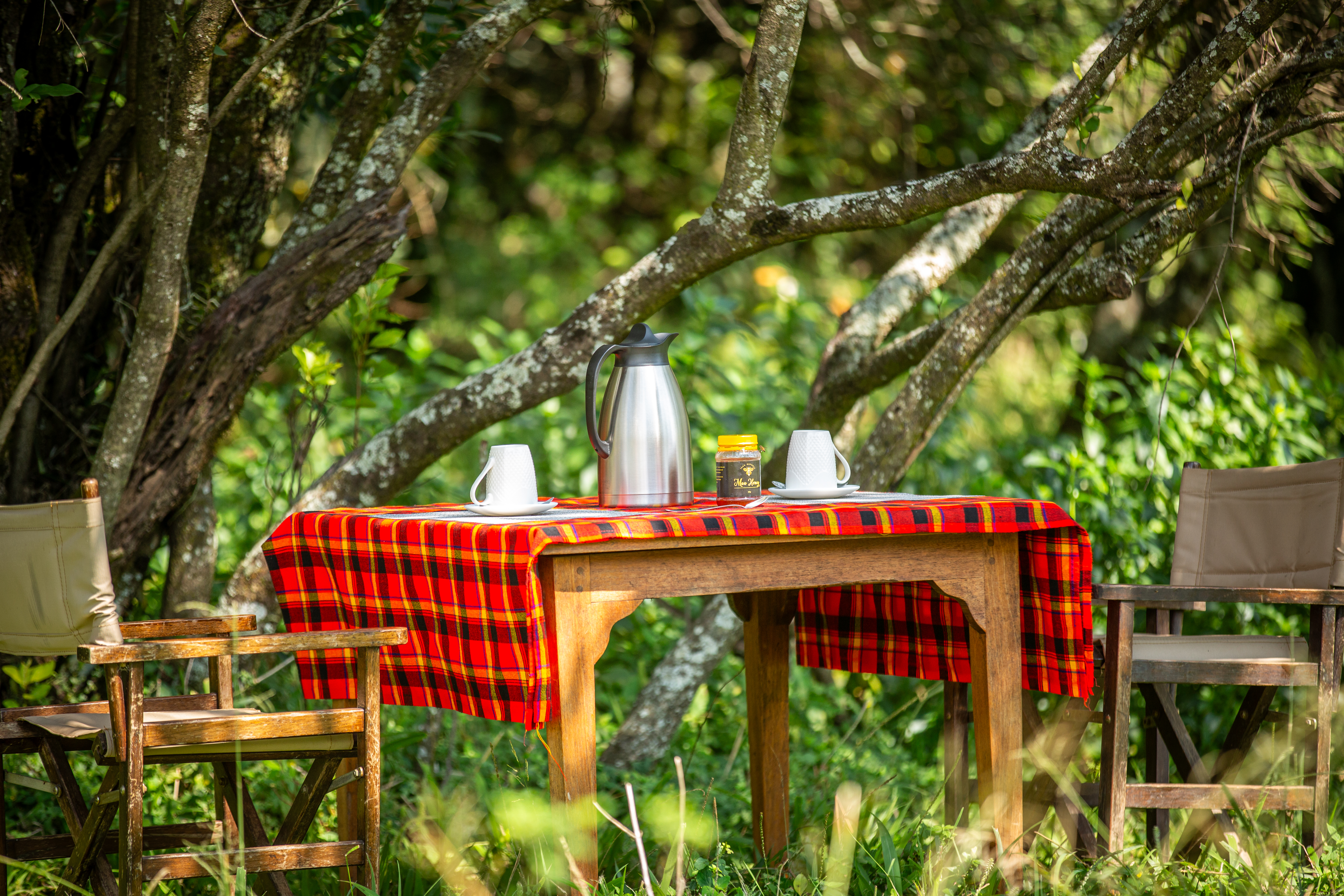 Outdoor Patio