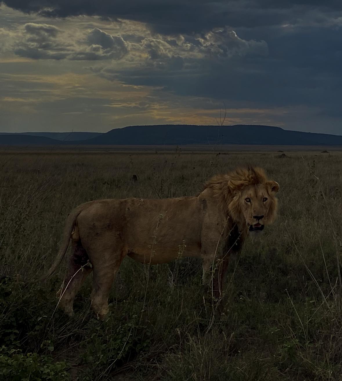 Night Game Drive in Pardamat Conservancy